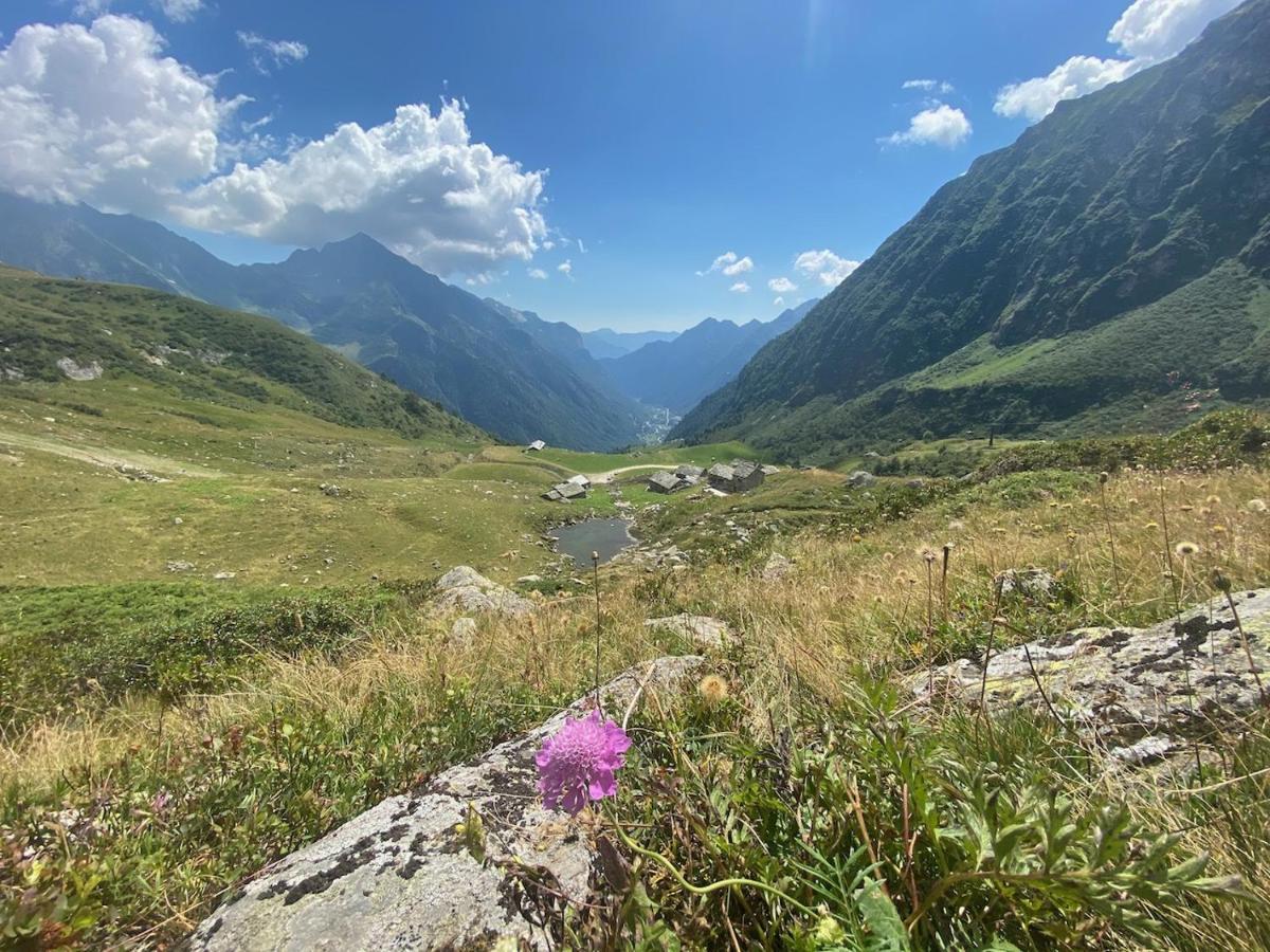 Mountain Cabin Valsesia Appartement Stella Варалло Экстерьер фото